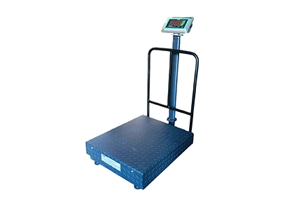 WS-300 Weighing Platform Scale